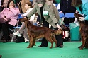 Crufts2011 074